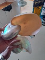 20230820_154702.jpg