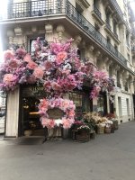 IMG_2544.jpeg