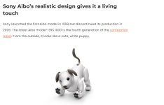 SONY COMPANION DOG.jpg