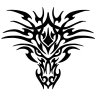 xdragon