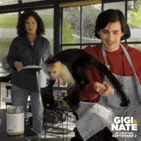 200.gif