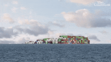 GIF by The Guardian