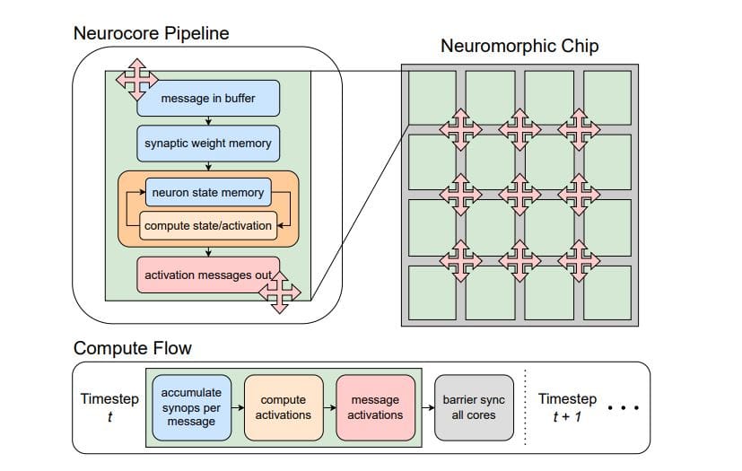 Neuromorphic Accelerator Performance Bottlenecks Modeled, Revealing 3.38x, 3.86x Gains through Optimized Sparsity