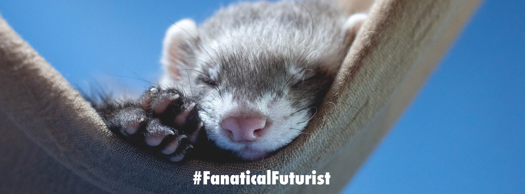 www.fanaticalfuturist.com