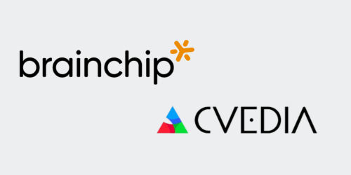 brainchip.com