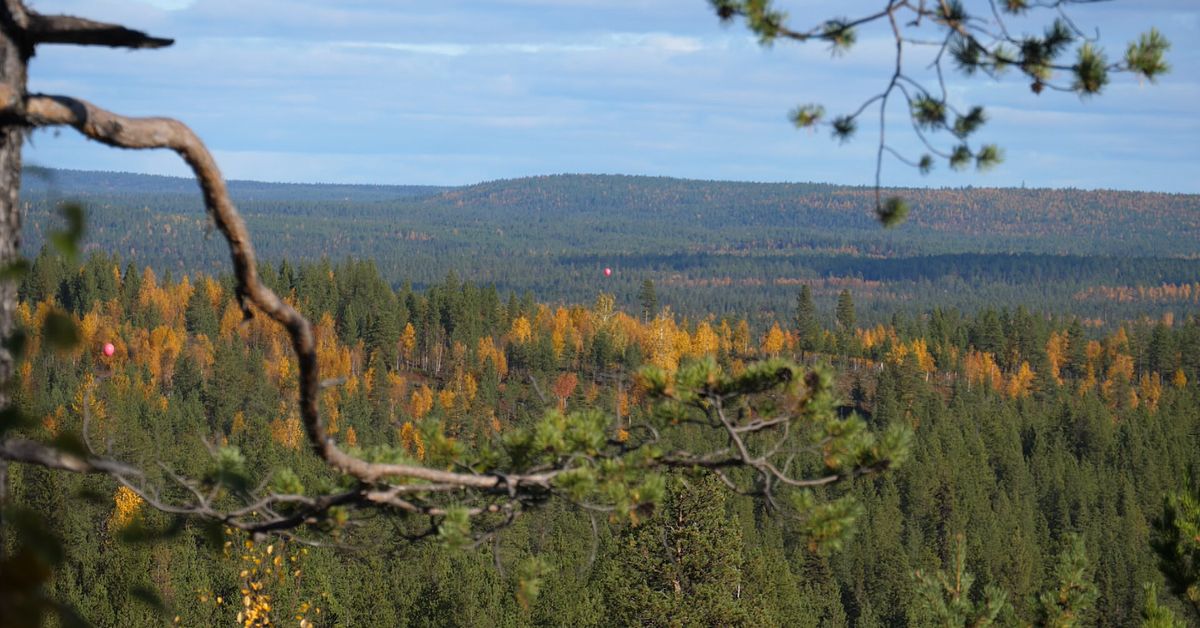 www.svt.se